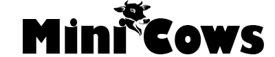 Mini Cows